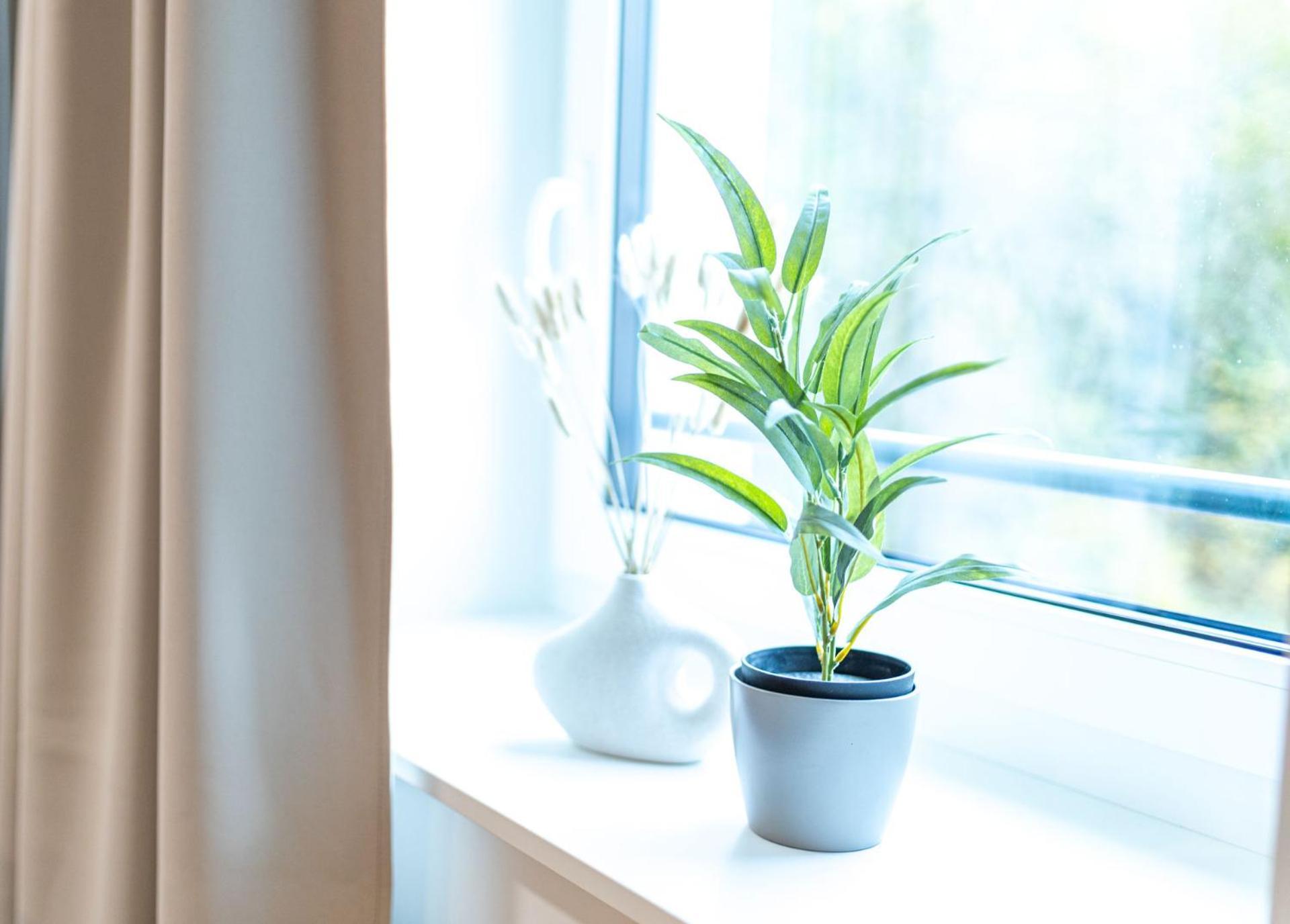 Dwellstay - City Apartments Fulda Rom bilde
